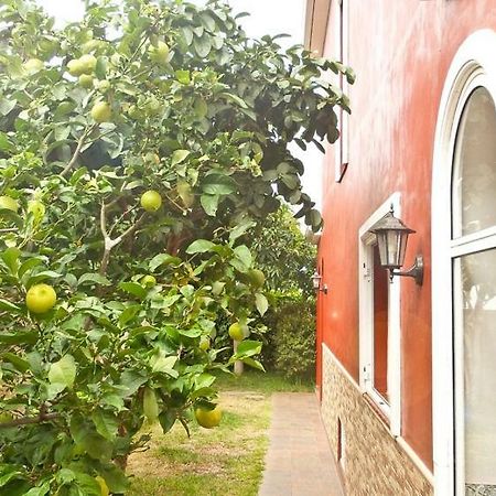 Casa Buganvilla Λος Ρεαλέχος Εξωτερικό φωτογραφία