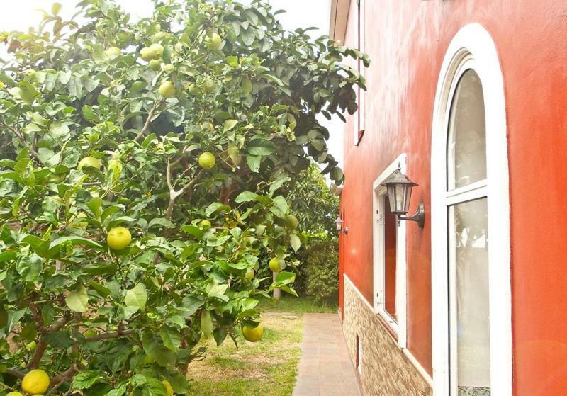 Casa Buganvilla Λος Ρεαλέχος Εξωτερικό φωτογραφία